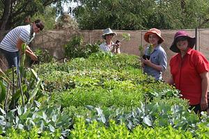 Drylands Permaculture Nursery