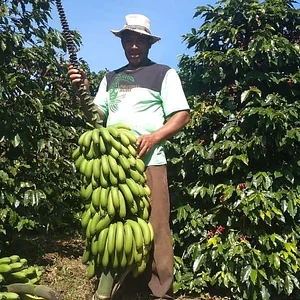 Intercâmbios Agroecológicos CTA 2