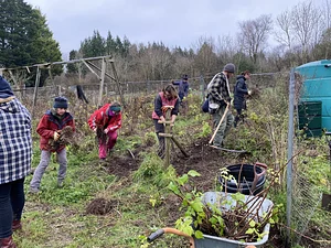 Brighton CSA - Fork and Dig It CIC