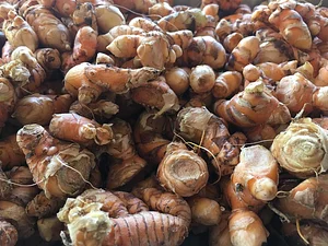 Taino Farm