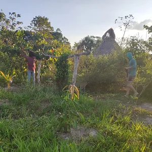 Pangaia es una comunidad agrícola solarpunk