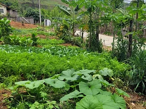 Intercâmbios Agroecológicos CTA 16