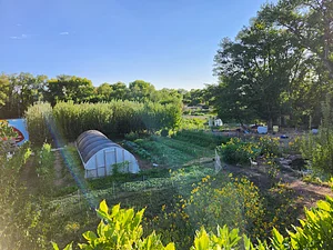Freetown Farm