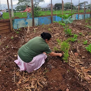 Mutirão na horta Comunitária da QNR