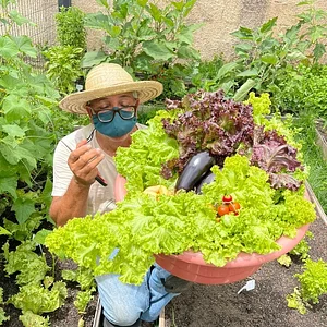 Hortinha