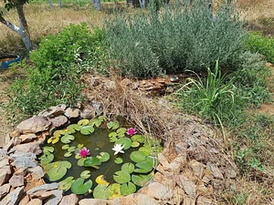 Permaculture à la ferme Dar Slaouia