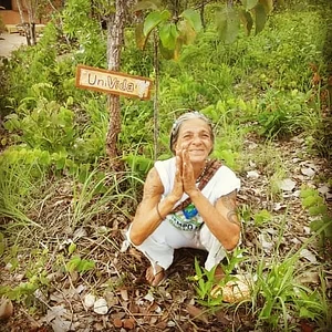 Rede Pouso Alto Agroecologia