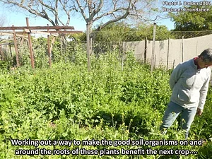 Drylands Permaculture Nursery