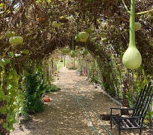 Nkwe Permaculture Farm