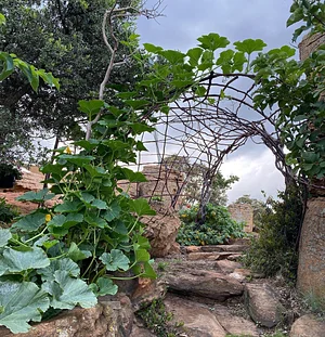Nkwe Agroforestry