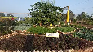 International Center of Excellence for Regenerative Agriculture 'Nico Roozen'