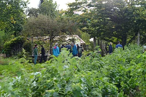 Agroecology Works!