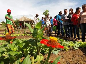 CEDASB - Centro de Convivência e Desenvolvimento Agroecológico do Sudoeste da Bahia