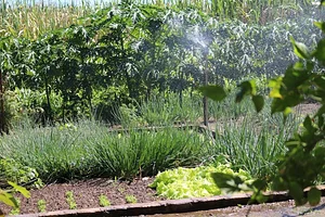 CEDASB - Centro de Convivência e Desenvolvimento Agroecológico do Sudoeste da Bahia
