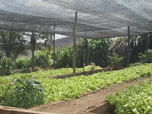 CEDASB - Centro de Convivência e Desenvolvimento Agroecológico do Sudoeste da Bahia