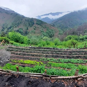 Permaculture à L'Ortu Muntagnolu