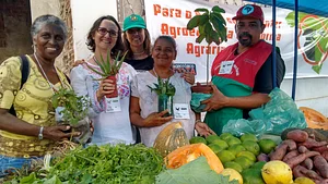 Oficina de agricultura urbana no Ocupe Passarinho