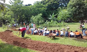 Horta Comunitária - Agrofloresta