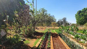 Horta Comunitária do Guará