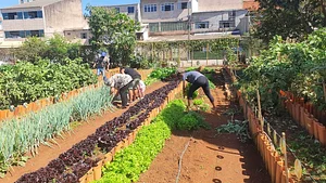 Horta Comunitária do Guará