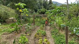 Projeto CASA - Comunidade Acadêmica que dá Suporte a Agricultura