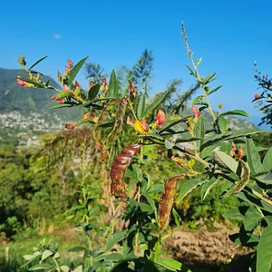 Permaculture at Farm Iley Harvesters