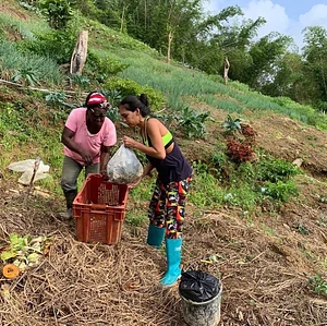 Permaculture at Farm Iley Harvesters