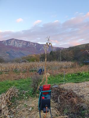 După Gard Permaculture Transylvanian