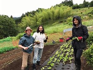 Kasamatsu Farms