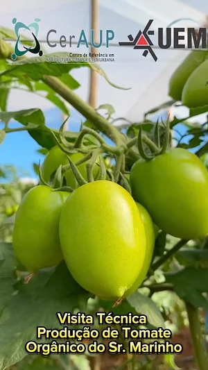 CerAUP/UEM - Centro de Referência de Agricultura Urbana e Periurbana da Universidade Estadual de Maringá - Paraná
