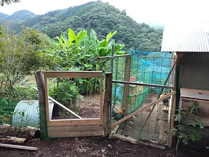Kasamatsu Farms