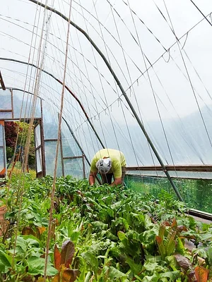 Kasamatsu Farms
