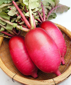 Kasamatsu Farms