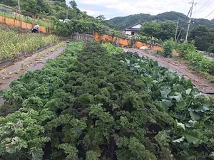 Photo Kasamatsu Farms
