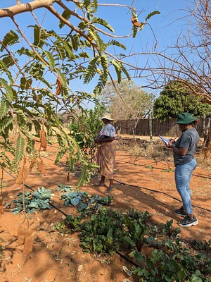 Agroecology Institute of Namibia