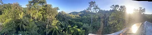 Maya Mountain Research Farm