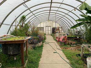 greenhouse