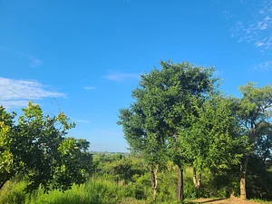 Karamoja, Northeastern Uganda