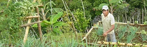 Huerta Instituto Superior Multiversidad Popular