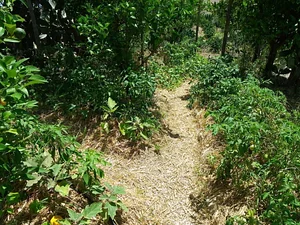 Permarancia Farm