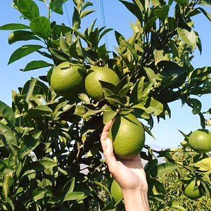 Permarancia Farm