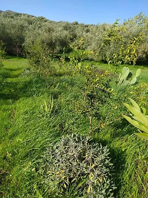 Permarancia Farm