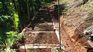Plantadores de Água