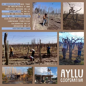 manejo agroeco3