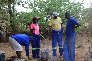 Photo Some of our Diploma in Agroecology students having practical lessons