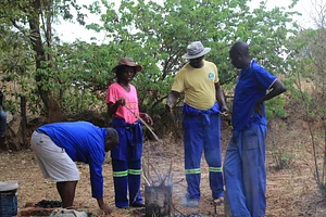Some of our Diploma in Agroecology students having practical lessons
