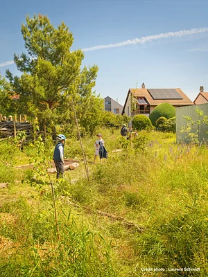 Jardin-forêt des Morettes