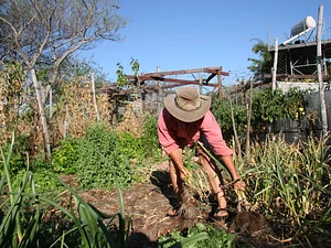 Drylands Permaculture Nursery