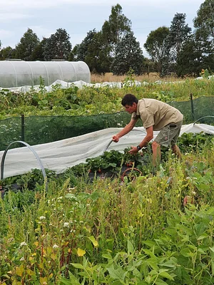 Permaculture at The Food Farm