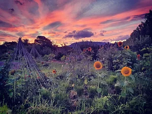 Permaculture at The Food Farm